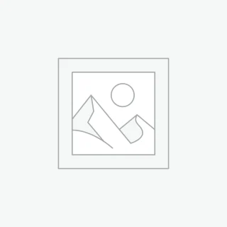 Aliquam erat volutpat